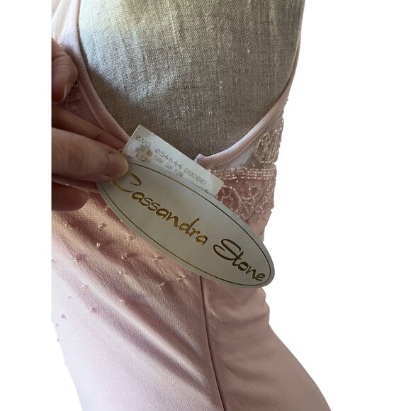 Vintage 1990s NWT Cassandra Stone Beaded Blush Pink Mesh Tulle Maxi Prom Dress - Picture 7 of 10